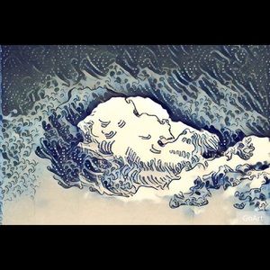 Meet your Posher, Leighton